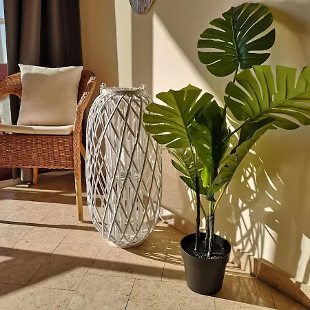 Praiamar T1 5º - New Uauhomes Beach 1bdr 300mts To Beach 아파트 포티마오